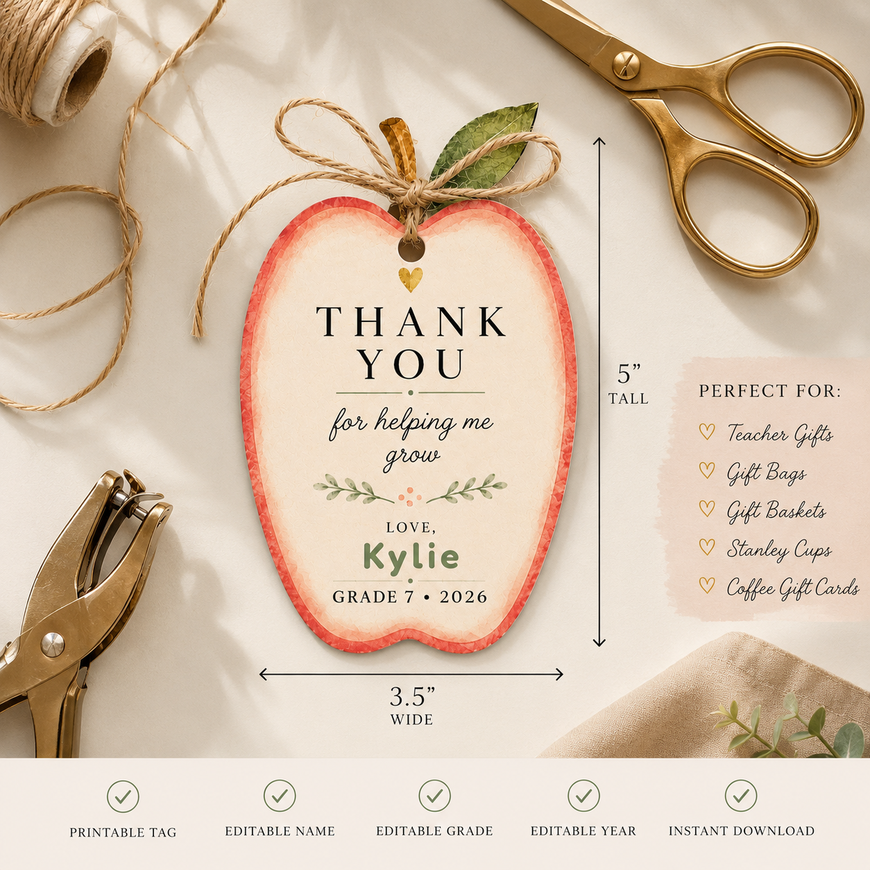 Apple Teacher Thank You Gift Tag