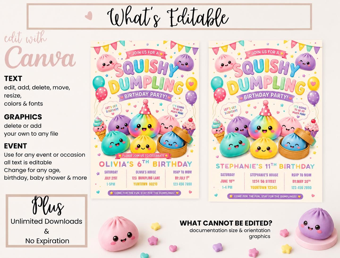 Squishy Dumpling Birthday Invitation preview 7